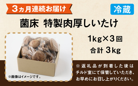 【3ヶ月定期便】菌床肉厚しいたけ（福井県大野市産）1kg×3回 計3.0kg[B-003013]