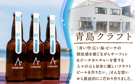 青島サーフエール6本セット 青島 ビール クラフトビール