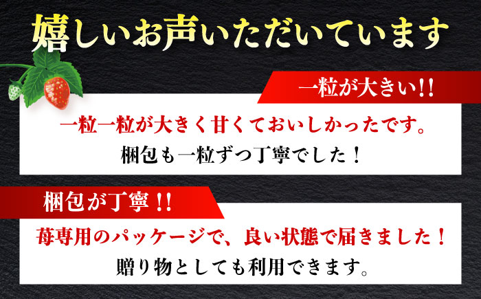 【2月1日より順次発送】農家直送 朝採り新鮮いちご【博多あまおう】約270g×4《築上町》【株式会社H&Futures】 [ABDG004] 13000円 1万3千円