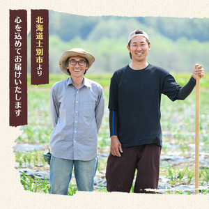 【A7091】＜先行予約受付中・期間限定＞北海道士別市産 かぼちゃ ブラックのジョー (5kg・2~4玉 ) 【2025年10月から12月の間に順次発送】かぼちゃ 南瓜 カボチャ 北海道産 国産 野菜