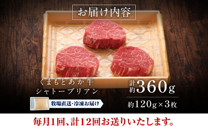 菊陽町 あかうし 熊本県 肉 にく niku ブランド 旨み くまもとあか牛 和牛 阿蘇 自然 自社牧場 直接 最高 定期便