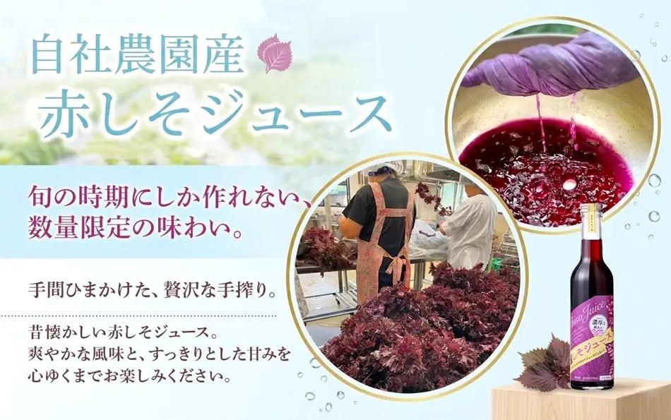 B2-0714／【夏季限定】 濃い！ 赤しそジュース　6本セット