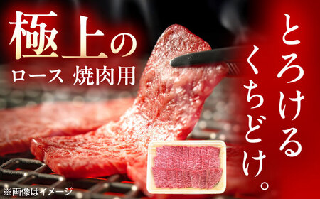 佐賀牛 ロース 焼肉用 500g /MKミート武雄[UEM054]