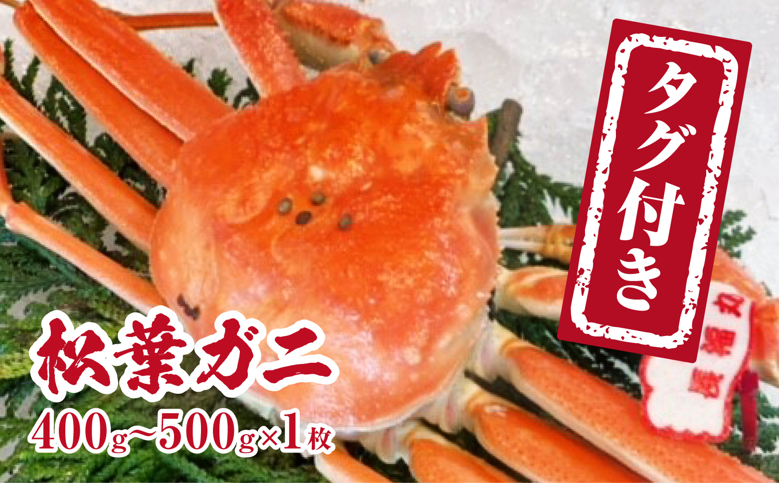 【チルドでお届け】【ボイル】境港水揚げ タグ付き松葉ガニ (400～500g×1枚) 魚々魚厳選 松葉がに 松葉蟹