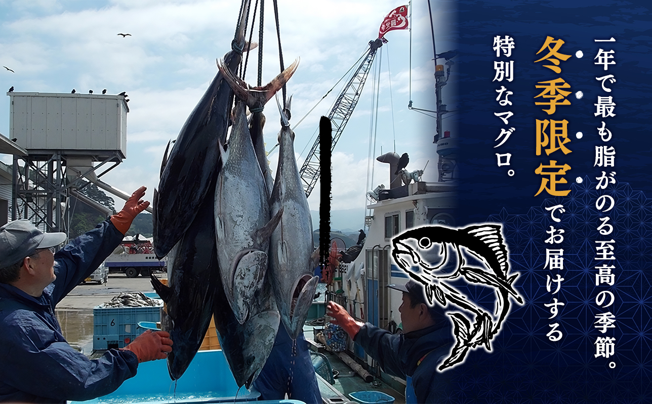 青森県深浦町産 天然本マグロ 中トロ 400g 200g×2 冷凍柵 深浦マグロ 刺身 海鮮 鮪 まぐろ【fu-0015-015_12】