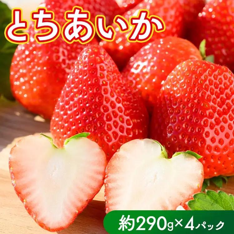 いちご（とちあいか） 290g×4パック 1.16kg以上 ｜  ※2026年11月～発送