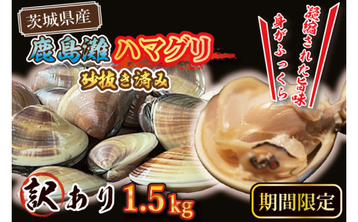 期間限定 鹿島灘 ハマグリ 訳あり 1.5kg 砂抜き済み はまぐり 蛤 わけあり 国産 天然 茨城県産 鹿島灘産 焼き蛤 BBQ おせち お雑煮 お吸い物 ラーメン パスタ