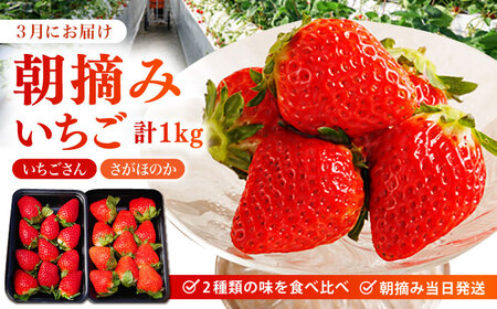 【全2回定期便】 旬のフルーツ定期便 （ みかん ・ いちご ）[HZY101]