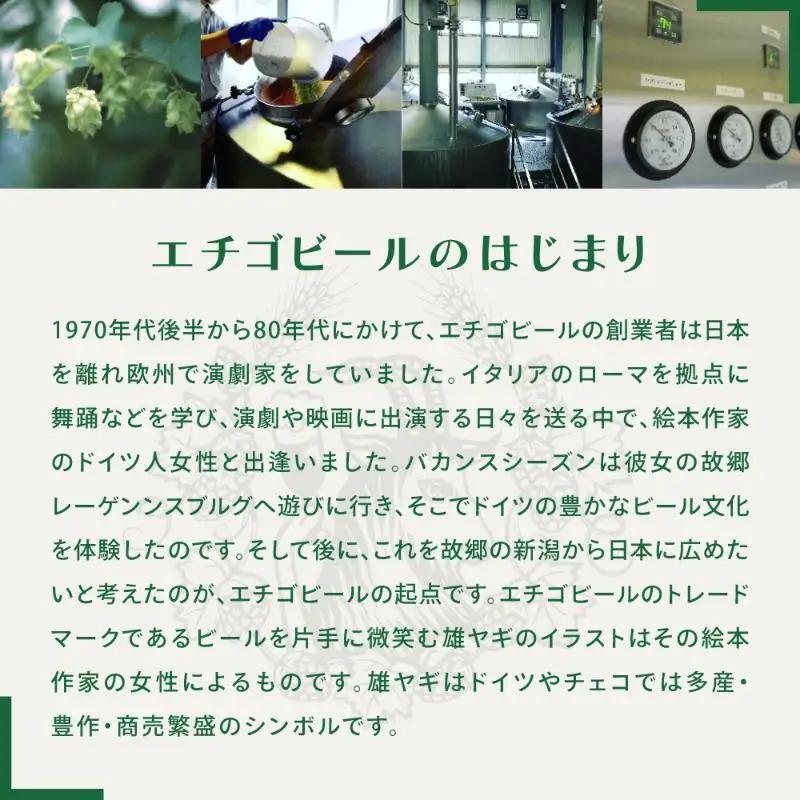 【3か月定期便】クラフトビール エチゴビール のんびりふんわり 白ビール 350ml 缶 12本 地ビール ビール 全国第一号クラフトビール 12缶 お酒 酒 お取り寄せ 人気 新潟