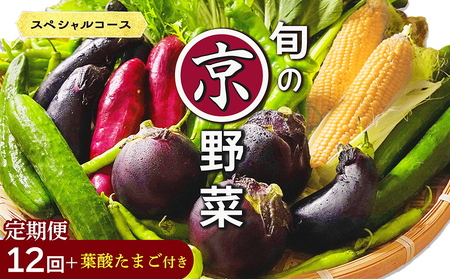 【12回定期便】旬の京野菜セット スペシャル 野菜