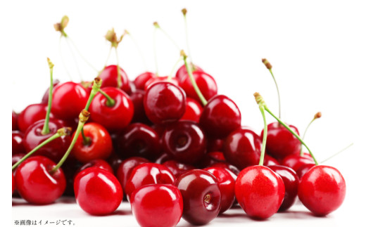 【期間限定発送】 さくらんぼ 置賜産 紅秀峰 特秀 2L～3L 500g 化粧箱入り [JA山形おきたま 山形県 高畠町 tk06ays870013] サクランボ チェリー 山形 果物 フルーツ くだもの