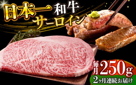 【2回定期便】A4-A5 長崎和牛 サーロインステーキ (250g×1)【株式会社 MEATPLUS】 サーロイン サーロイン サーロインステーキ 和牛ステーキ [DBS081]