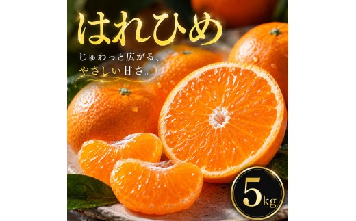 【選ぶならこれ】 とろける甘み 【はれひめ】 5kg 愛媛県産 【2027年1月上旬頃から順次発送】 | みかん ミカン mikan 蜜柑 訳ありフルーツ 柑橘 果物 おすすめ お勧め お取り寄せ ギフト 愛媛県 松山市