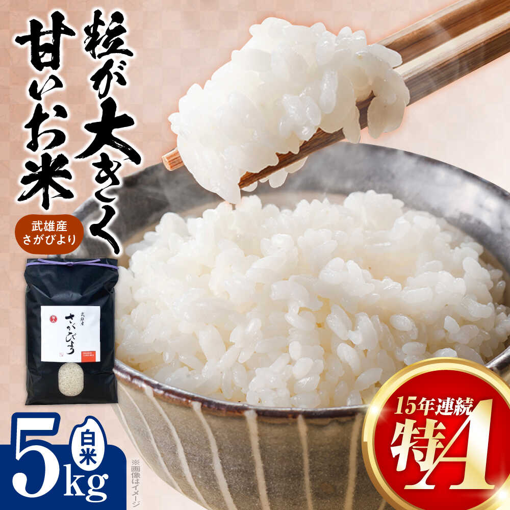 【ふるさと納税】15年連続特A評価 武雄市産 さがびより 白米 5kg /株式会社 y's company（utsu和ya）[UDX016] 米 お米 白米 ブランド米