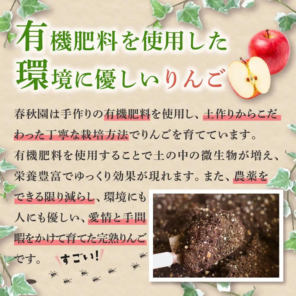 りんご　訳あり約5kg早生ふじ【2026年10月上旬発送】りんご