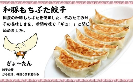 古久家 和豚 もちぶた 餃子 ( 60個 ) と 海老 たっぷり 餃子 ( 10個 )  餃子 絶品 春巻き ( ５本 ) セット 冷凍 焼き餃子 おかず おつまみ 総菜 お取り寄せ ぎょうざ ギョー