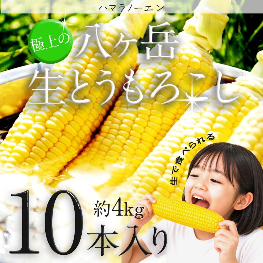 【ふるさと納税】 トウモロコシ 生で食べられる極上の 八ヶ岳 生 とうもろこし 10本入り 約4kg | とうもろこし 生 生とうもろこし 野菜 新鮮 極上 信州 八ヶ岳 長野県 諏訪郡 原村