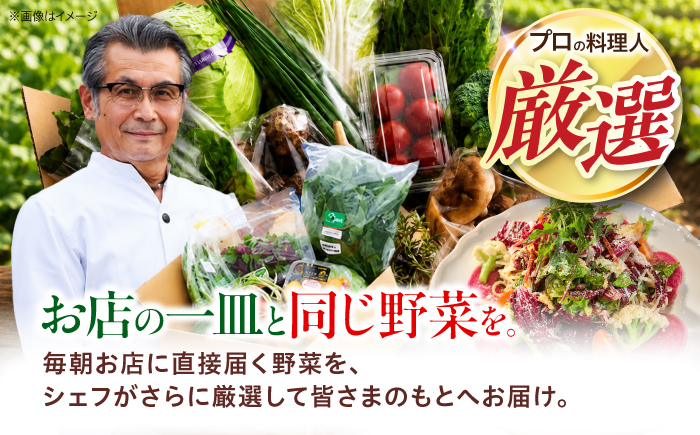 【シェフの目線】栽培期間中農薬不使用！大満足 旬のお野菜セット　愛媛県大洲市/有限会社ヒロファミリーフーズ[AGBX003]野菜 サラダ カレー 農業 トマト 料理  きゅうり 鍋 とうもろこし 果物