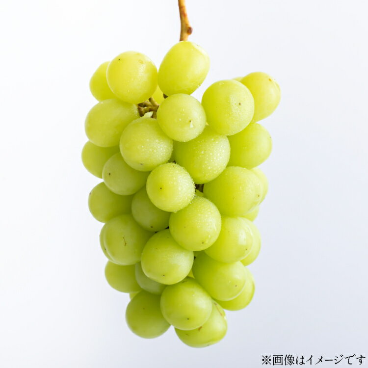 【ふるさと納税】【期間限定発送】 シャインマスカット 選べる内容量 約650g〜約3kg [山形県 高畠町 いわた果樹園] ぶどう ブドウ 葡萄 フルーツ 果物 くだもの 甘い