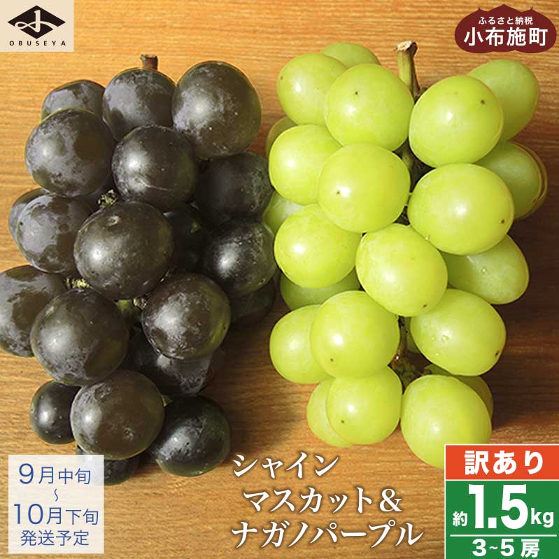 【ふるさと納税】【訳あり】シャインマスカット ＆ ナガノパープル 約1.5kg 3～5房 ［小布施屋］家庭用 規格外 不揃い 傷 果物 フルーツ ぶどう 葡萄 ブドウ 数量限定 期間限定 クール便 冷蔵便 令和7年産 【2025年9月中旬～10月下旬発送】