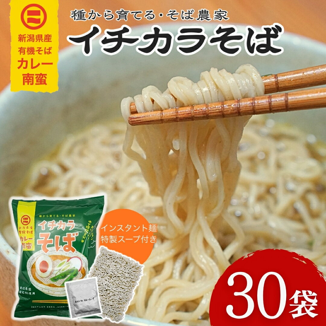 【ふるさと納税】蕎麦 インスタント蕎麦 イチカラそば カレー南蛮 1ケース 30入り イチカラ畑 | ゆで時間2分半 有機そば全粒粉使用 有機栽培 インスタント インスタント麺 そば 蕎麦 ソバ カレー 南蛮 新潟県 小千谷市【0021-0016-01】