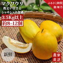 【ふるさと納税】農家直送 程よい甘さのマクワウリ約3.5kg (8-12個)＜2025年7月下旬から発送開始分先行予約＞果物 フルーツ くだもの 期間限定 福岡県産 九州産 国産 まくわうり メロン【A5-477】