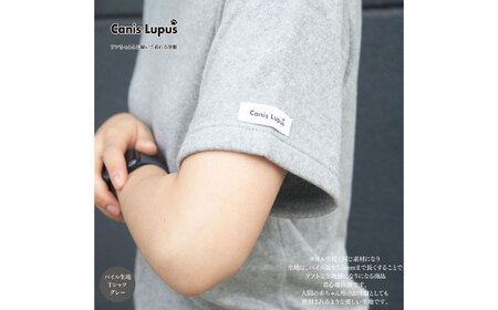 タオル地Tシャツ 杢グレー（S-XL） / Tシャツ 半袖 ユニセックス シンプル タオル地 パイル / 佐賀県 / Canis Lupus[41AAAN007]
