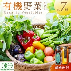 季節のオーガニック野菜セット(2人用)&調味料(2種)