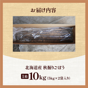 北海道十勝清水町産 秋堀りごぼう 10kg【2026年秋発送予定】牛蒡 ゴボウ