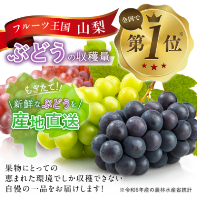 【2026年発送　先行受付】やみつきシャインマスカット 1.2kg (2～3房)【配送不可地域：離島】