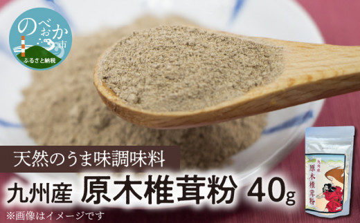 
【思いやり型返礼品】天然 うま味調味料 九州産 原木椎茸 粉 40g　N0155-A0190
