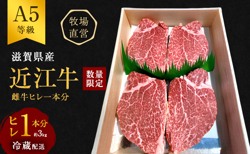 【最短1週間発送】 【数量限定】 A5ランク 近江牛 肉 ステーキ 牛肉 雌牛 ヒレ1本分 約3kg ふるさと納税 お肉 ブランド牛 黒毛和牛 滋賀県 豊郷町