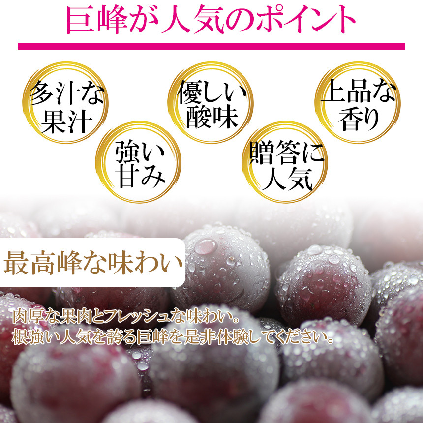 旬な梨をお届けいたします！