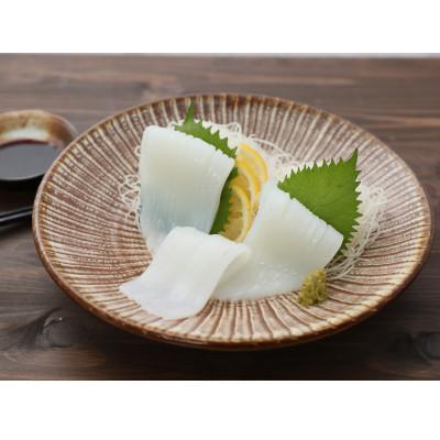 ふるさと納税 さぬき市 あおりいか いか糸つくり 200g×5袋