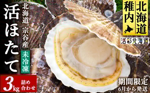 ＜先行受付＞《冷蔵便でお届け!》北海道宗谷産活ホタテ3kg前後詰合せセット　泳ぐ帆立参上!