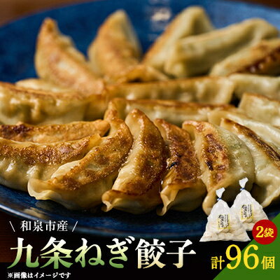 【ふるさと納税】大阪府和泉市産の九条ネギを使用した冷凍餃子　48個入×2パック(計96個)　道の駅で大好評!【配送不可地域：離島】【1182130】