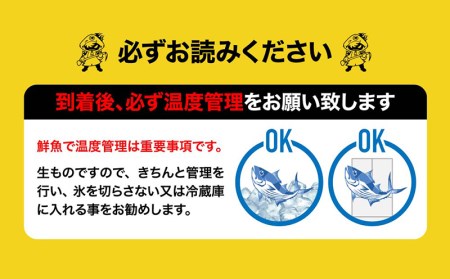 《津本式》西米良サーモン１尾 ～津本光弘本人仕立て～