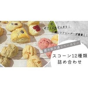 人気のスコーン詰合せ お任せセット(9~12種類20点セット）｜ パン スコーン 詰め合わせ セット 茶菓 おやつ