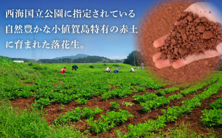 【幻の落花生】むき身 落花生 40g × 20袋 【小値賀町】《しまうま商会》 落花生 ピーナッツ おつまみ 常温 [DAA037] [DAA037]
