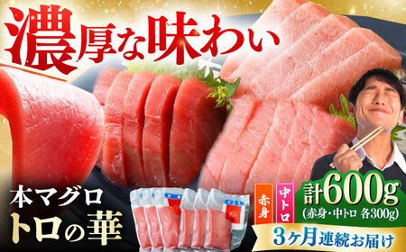 【全3回定期便】対馬産 本マグロ 600g（赤身300g、中トロ300g） ≪対馬市≫【桐谷商店】 トロの華 対馬 新鮮 マグロ 赤身 トロ 鮪 刺身[WAQ068]