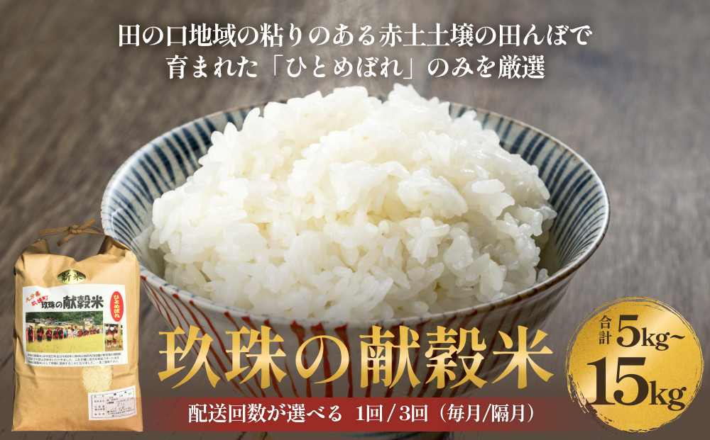 
            令和7年度 新米予約 玖珠の献穀米 5kg - 15kg 配送回数が選べる （ 1回 / 3回 ） 米 ひとめぼれ 大分県 玖珠町 こめ お米 白米 予約 新米
          