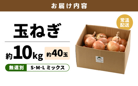 【先行予約】玉ねぎ 10kg（サイズ S M L ミックス）田んぼで育てた甘くて柔らか自慢の玉ねぎ！／ 野菜 玉葱 たまねぎ 甘い ※2026年7月上旬より順次発送予定 [aw056-a022]