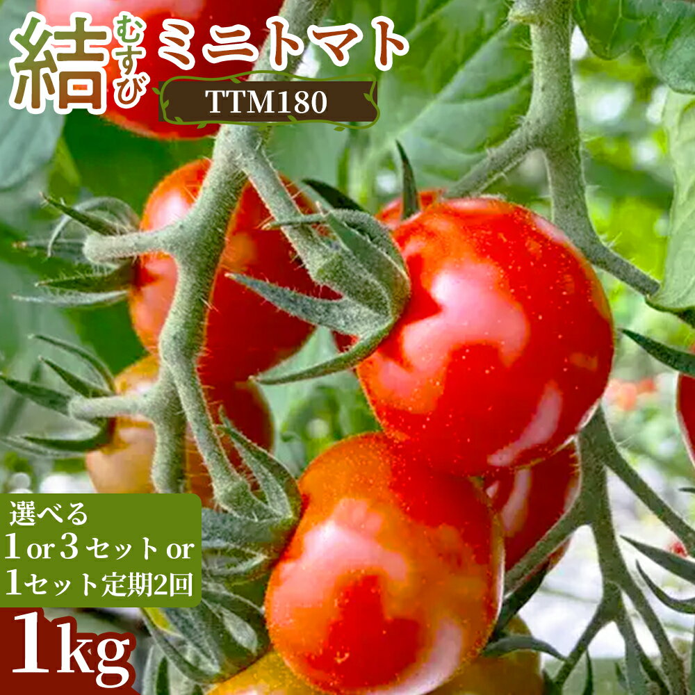 【ふるさと納税】《先行予約》結（むすび）ミニトマト（TTM180）1kg 1セット 3セット 定期便 新鮮野菜 フルーツ 旬 サラダ デザート お弁当 朝食 料理用 そのまま食べる おうちごはん お取り寄せ 産地直送 贈り物 手土産 愛知県 豊橋市