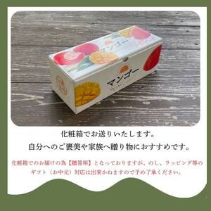 【2025年6月～7月頃の発送】贈答用のアップルマンゴー2kg【配送不可地域：離島】【1601772】