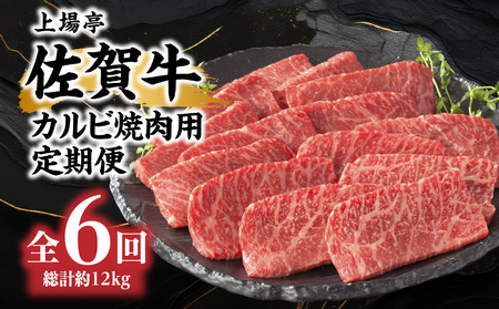トップブランド牛「佐賀牛カルビ焼肉用」定期便 約500g×4パック（6回）｜牛肉 定期便 牛肉定期便 牛肉 定期便 牛肉定期便【Z107】