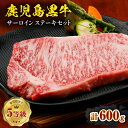 【ふるさと納税】 鹿児島黒牛 サーロインステーキ 計600g A-101 牛 肉 黒牛 黒毛和牛 サーロイン ステーキ 5等級 鹿児島県産 霜降り コク 旨味 ステーキ 夕食 おかず ご飯 美味しい 冷凍 JA 経済連 鹿児島 知名町 おすすめ ランキング プレゼント ギフト