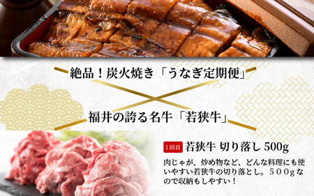 【定期便 6回コース】 蒲焼き鰻 と 肉の鉄板コース 定期便 【うなぎ＆若狭牛】【牛肉 牛 国産牛 国産 和牛 お肉 ブランド牛 焼肉 鰻のかば焼き ウナギ 黒毛和種 黒毛和牛 A4等級クラス 人気】