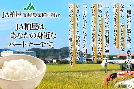 【3ヶ月 定期便】 元気つくし 合計15kg 5kg×3回 白米 お米 ご飯 米 精米 送料無料 お取り寄せグルメ お取り寄せ 福岡 お土産 九州 福岡土産 取り寄せ グルメ 福岡県