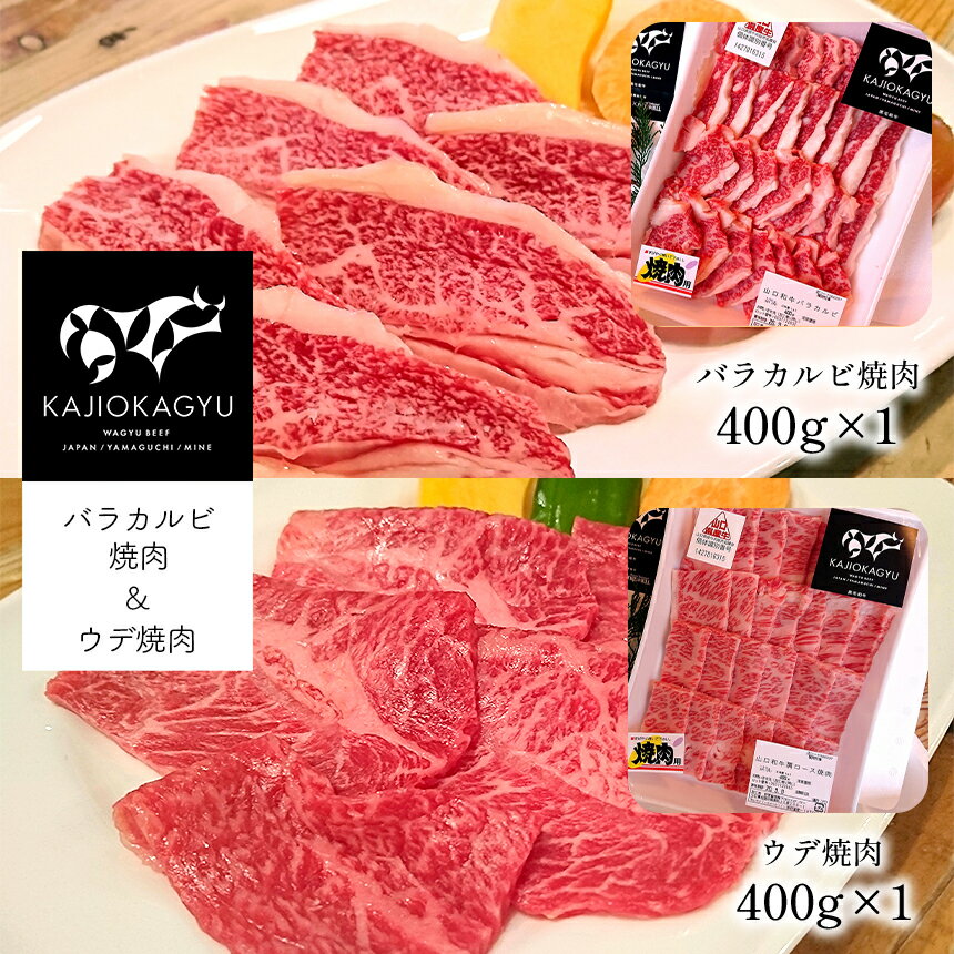 【ふるさと納税】 梶岡牛 バラカルビ焼肉・ウデ焼肉 ｜ お取り寄せ 牛肉 肉 にく グルメ バラ カルビ ウデ 焼肉 セット 詰め合わせ 800g 冷凍 熟成 長期飼育 特産品 山口 美祢市 美祢