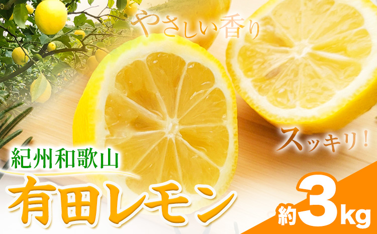 紀州和歌山 有田レモン 約3kg 有田マルシェ《2026年9月下旬-2027年2月下旬頃発送予定》和歌山県 日高町 れもん 檸檬 フルーツ ギフト 送料無料